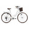 Mestsky bicykel - Rám na bicykli City Bike (Rám na bicykli City Bike)