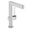 HansGrohe 76060000