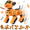 Interaktívny RC robot-psík pre deti - hovoriaci, tancujúci, programovateľný