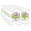Bohemia Pet Food BOHEMIA Wild Broth BOX Lamb 15x100ml