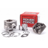 Cylinder nicasil 47,6 mm 70 cc Power Force 2T AC sw 10 mm Zipp Kymco Longjia
