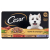 Cesar mokré krmivo pre psov 150g-4ks