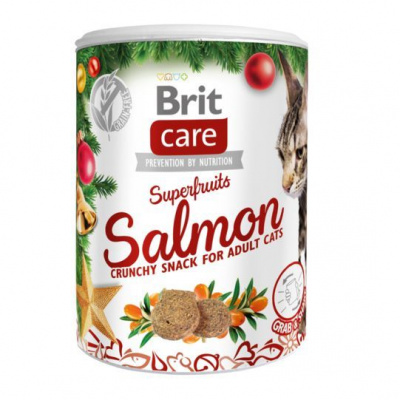 BRIT Care Cat Christmas Superfruits 100g