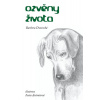 Ozvěny života - Barbora Dvorecká