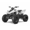 Linhai ATV 110 2X4 EFI CE Farba: Biela