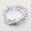 ACA Lightning LED dekoratívna strieborná girlanda 20 LED studená biela, 2x batéria CR2032, 200 cm, IP44