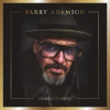 Adamson Barry - Memento Mori(78-2018) / Vinyl [LP]