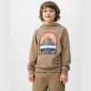 4F Jr sweatshirt 4FJWSS24TSWSM0933 81S (196460) Green 122 cm