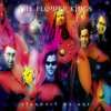 Flower Kings - Stardust We Are / 2022 Remaster / 2CD [2 CD]
