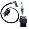 SVIEČKOVÝ Cievkový modul QUAD BASHAN LONCIN 150 200 250 (SVIEČKOVÝ Cievkový modul QUAD BASHAN LONCIN 150 200 250)