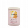 Inebrya Ice Cream Argan Age Pro-Age Mask 1000 ml