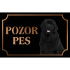 Novofundlandský pes - Kovová tabuľka POZOR PES