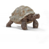 Schleich 14824 morské zvieratko korytnačka obrovská