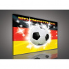 Obraz na plátne obdĺžnik - OB1108 - Futbalová lopta 60cm x 40cm - O4