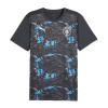 Puma Dres MANCHESTER CITY Pre-match gray velikost: L