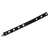 Hohner Connecting Strap Nr. 70 (Príslušenstvo k akordeónu)