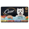 Cesar mokré krmivo pre psov v želé 150g-4ks
