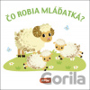 Čo robia mláďatká? - INFOA