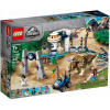 LEGO® Jurassic World 75937 Triceratopsovo besnenie