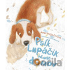 Psík Lupáčik hľadá domov - Anastasia Orlova, Oksana Baturina (ilustrátor)