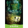 E-kniha Bouře mečů - George R.R. Martin