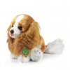 Eco-Friendly pes gavalier King Charles španiel 28 cm