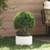 vidaXL Biele keramické hrnce Biely Keramika 30 cm priemer - Biela - 287574-304312