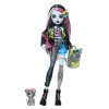 Monster High Príšerka monsterka Frankie HXH73