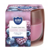 Aura /Bispol/ Aura Bispol Frozen Berries vonná sviečka 130g