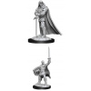 D&D Nolzur's Marvelous Miniatures - Human Paladin Male
