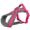 Nylonový postroj PREMIUM podšitý - fuchsie S:hruď:35-50cm/20mm