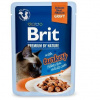 Brit Premium by Nature Cat Delicate Fillets in Gravy with Turkey 85 g