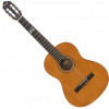 Valencia VC204L Antique Natural