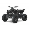 Linhai ATV 110 2X4 EFI CE Farba: Čierna