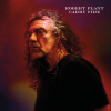 PLANT ROBERT CARRY FIRE [VINYL] VINYL