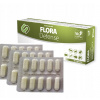 VetFood Flora Defense 60 kapsúl