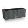 Truhlík Lechuza Balconera Cottage (50cm) Barva: Antracit kompletný set