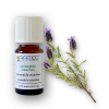 Arttec Levanduľa stoechas (Lavandula stoechas) NAT00025