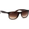 Ray-Ban Andy RB4202 607313 55