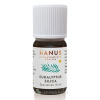 HANUS Silica eukalyptová 10 ml