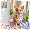 Maľba podľa čísel 40x50 cm Massido Corgi dog