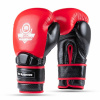 Boxerské rukavice DBX BUSHIDO Warrior RED 16oz.