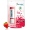 Himalaya Balzam na pery s jahodovým leskom, 4.5 g
