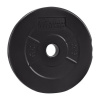 PLATINUM FITNESS Nakladací cementový kotúč 2,5 kg / 29mm PF-P0010