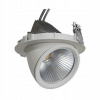 NBB NBB GIMBAL LED COB DOWNLIGHT 30W / 940 24° CRI90 plus priemer 165x140mm IP20 253424055