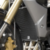 Ochranná mřížka chladiče černá - Triumph Street Triple [R] '13- Černá