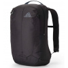 GREGORY EVERYDAY ADVENTURE RETNA 20 CARBON SKY