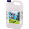 Pontaqua Algicíd super 5 L