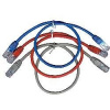Gembird PP12-3M/G Eth Patch cat5e UTP, 3m, zelený (PP12-3M/G)