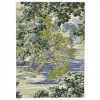 Vlněný kusový koberec Sanderson Ancient Canopy forest green 146708 Brink & Campman 170 x 240